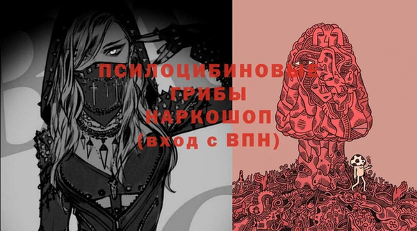бошки Алексеевка